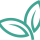 Dermanostic icon